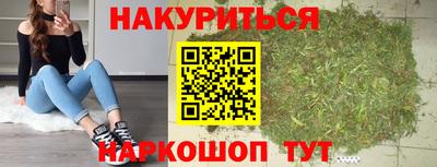 гидра Шахты