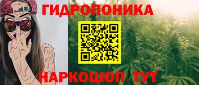 мдпв Шелехов